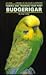 Taming and Training Your First Budgerigar