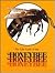 The Honeybee by Paula Z. Hogan