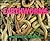 Nature Close-Up - Earthworms
