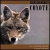 The World of the Coyote (Paperback)