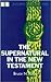 The Supernatural in the New Testament (Interpreting the Bible)