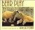 Bear Play