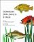 Down by Jim Long's Stage: Rhymes for Children and Young Fish
