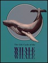The Whale: Life Cycle Books (Paperback)