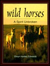 Wild Horses: A Spirit Unbroken (Hardcover)