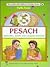Pesach: With Bina, Benny and Chaggai Hayonah (The Artscroll Youth Holiday Series)