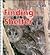 Finding Shelter