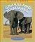 Grassland Mammals (True Books: Animals)