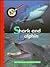 Shark and Dolphin (Discover the Difference)