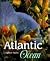Life in the Sea - Atlantic ...