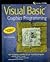 Visual Basic Graphics Programming