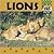 Lions (Wild Cats)