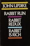 Rabbit is Rich; R...