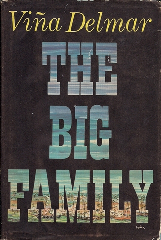 The Big Family (Hardcover)