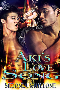 Aki's Love Song (ebook)