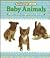 Baby Animals: A Very First Picture Book (Pictures and Words)
