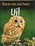 Uil