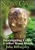 A Stony Gaze: Investigating...