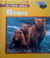 Bears