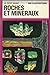 Le petit guide roches et minéraux