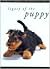 Legacy of the Puppy, the Ultimate Illustrated Guide