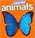 Baby's First Animals by Hinkler Books