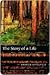 The Story of a Life by Aharon Appelfeld