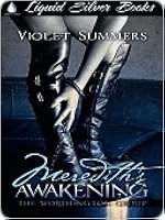Meredith S Awakening Worthington Group 2 By Violet Summers