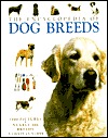 The Encyclopedia of Dog Breeds (Paperback)