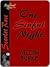One Sinful Night