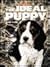 The Ideal Puppy