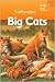 Big Cats