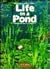 Life in a Pond