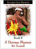 A Christmas Phantasie (Kindle Edition)
