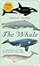 The Whale: In Search of the Giants of the Sea
