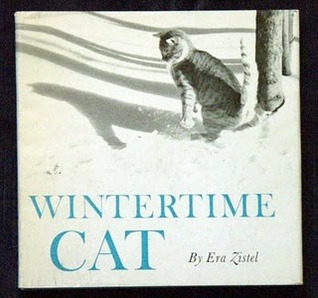 Wintertime Cat