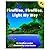 Fireflies, Fireflies, Light My Way (Picture Puffins)