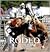 Rodeo and Western Riding by Moira C. Harris