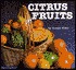 Citrus Fruits (Foods We Eat)