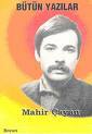 Teorik Yazılar (Paperback)