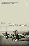 Wings Without Birds