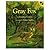 Gray Fox