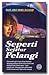 Seperti Sejalur Pelangi
