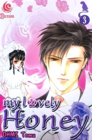 My Lovely Honey Vol. 3 (Paperback)