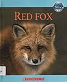 Red Fox