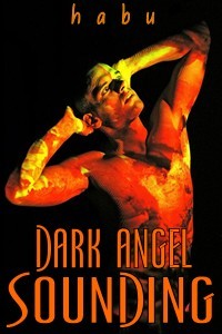 Dark Angel Sounding (Kindle Edition)
