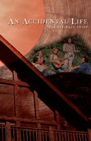 An Accidental Life (Paperback)