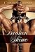 Broken Shine by Candice Gilmer