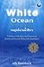 White Ocean Strategy กลยุทธ์น่านน้ำสีขาว by ดนัย จันทร์เจ้าฉาย