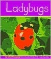 Ladybugs